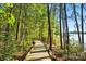 Scenic boardwalk winds through lush greenery near a lake with benches for relaxing and enjoying nature at 404 Brookridge Dr, Mount Holly, NC 28120