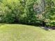 Expansive backyard featuring lush green grass and mature trees for privacy and shade at 4143 Tullock Creek Dr, Charlotte, NC 28269
