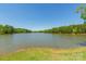 Scenic view of the serene lakefront, surrounded by lush trees and natural beauty at 1308 Twin Oaks Dr, Chester, SC 29706