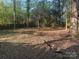 Large wooded backyard at 1401 Anderson St, Charlotte, NC 28205