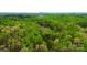 Expansive aerial view of a heavily wooded lot at 181 Canipe Rd, Dallas, NC 28034