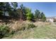 A natural wooded backyard at 3246 Yarmouth Ln, Gastonia, NC 28056