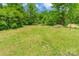 Large backyard with mature trees and greenery at 340 Whitner St, Rock Hill, SC 29730