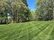 Expansive backyard featuring a well-maintained lawn and mature trees creating a private outdoor space at 5517 Mountain Point Ln, Charlotte, NC 28216