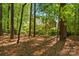 Charming brick home nestled among mature trees, offering a serene and private setting at 6009 Glen Manor Dr, Charlotte, NC 28269