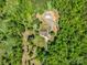 An aerial view showcases the secluded property, nestled among dense trees, with a long driveway and outbuildings at 575 Hill Rd, Lincolnton, NC 28092