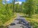 Long, paved driveway leading to a private residence, surrounded by lush greenery and mature trees at 575 Hill Rd, Lincolnton, NC 28092