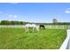 A picturesque view of horses grazing in a lush green pasture enclosed by white fencing at 15670 Bethel Avenue Ext, Midland, NC 28107