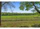 Expansive green pasture enclosed by a white fence, framed by trees under a clear blue sky at 15670 Bethel Avenue Ext, Midland, NC 28107