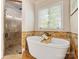 Bright bathroom showcasing a soaking tub, separate shower, and window at 703 Sainte Rose Ln, Charlotte, NC 28226