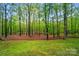Expansive backyard with mature trees and a serene wooded setting at 109 Canterbury Ln, Matthews, NC 28104