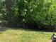 Spacious backyard with lush lawn, mature trees, and fenced perimeter at 14208 Castle Abbey Ln, Charlotte, NC 28277