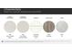 Chamberlain home selections include MSI Carrara Delphi Quartz countertops, Timberlake Duraform Linen cabinetry and Shaw Sea Glass flooring at 4124 Skyboat Cir, Fort Mill, SC 29715
