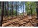 The lush, mature trees surrounding the property provide privacy and tranquility at 5381 Mount Carmel Rd, Heath Springs, SC 29058