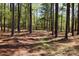 Lush and mature trees create a private wooded area at 5381 Mount Carmel Rd, Heath Springs, SC 29058