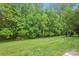 Lush backyard with mature trees, a well-maintained lawn, and natural surroundings at 8322 Summerglen Cir, Charlotte, NC 28227