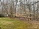 A shot of the lush green backyard featuring a natural landscape with mature trees at 9113 Oak Bluff Ct, Waxhaw, NC 28173