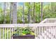 Exterior shot showing a close up of flowers on the deck overlooking surrounding green space at 1050 Emerson Dr, Mooresville, NC 28115