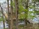 Water view of a home's boathouse and dock surrounded by mature trees at 1224 Island Creek Dr, Troy, NC 27371
