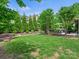 Expansive backyard featuring lush green lawn and mature trees, offering privacy and space for outdoor activities at 423 Sensibility Cir, Fort Mill, SC 29708