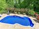 In-ground pool surrounded by greenery and well-maintained landscaping at 633 Elmhurst Dr, Fort Mill, SC 29715