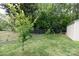 Lawn with fenced area is perfect for gardening or for to play at 427 Spencer St, Rock Hill, SC 29730