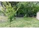Backyard featuring a young tree, a chain link fence, and partial shade at 427 Spencer St, Rock Hill, SC 29730