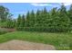 Spacious backyard with brick patio and lush green privacy landscaping at 911 Naples Dr, Davidson, NC 28036