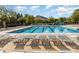 Well-maintained community pool with lounge chairs and clear blue water, perfect for recreation at 10318 Caldwell Depot Rd, Cornelius, NC 28031
