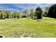 Spacious backyard featuring a vast lawn and surrounding trees, perfect for outdoor activities and relaxation at 105 Branson Dr, Olin, NC 28660