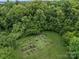 Aerial view of a well-organized community garden with individual plots amidst lush greenery and mature trees at 12710 Es Draper Dr, Huntersville, NC 28078