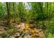Scenic view of a peaceful creek flowing through a lush, wooded area on the property at 228 Red Dog Dr, Mooresville, NC 28115