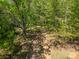 Wooded acreage featuring mature trees and a natural walking path at 228 Red Dog Dr, Mooresville, NC 28115