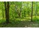 Beautiful wooded area with mature trees and lush landscaping creating a private, natural setting at 228 Red Dog Dr, Mooresville, NC 28115