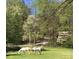 Scenic pasture with horses grazing, surrounded by trees and a glimpse of the property's driveway at 228 Red Dog Dr, Mooresville, NC 28115