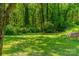 Expansive backyard featuring a large, meticulously maintained lawn surrounded by mature trees at 228 Red Dog Dr, Mooresville, NC 28115