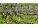 Aerial view of the neighborhood showcasing tree-lined streets and lush landscaping in the community at 1317 Waynewood Dr, Waxhaw, NC 28173