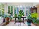 Bright sunroom filled with lush greenery and natural light from large windows, showcasing a tranquil space at 247 W Park Ave, Charlotte, NC 28203