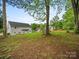 Expansive backyard with lush greenery, privacy trees, and the back of a two-story home at 253 Memory Ln, Rock Hill, SC 29732