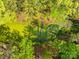 Scenic aerial view of a pond surrounded by lush greenery and mature trees in a peaceful setting at 4896 Pageland Hwy, Lancaster, SC 29720