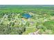 Aerial view of the property surrounded by trees, highlighting its location in a quiet neighborhood near a pond at 557 Luther Dr, Iron Station, NC 28080