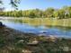 A scenic view of the water, trees, and shoreline of the river at 123 Pumice Dr, Statesville, NC 28625