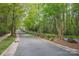 A street view lined with trees and lush greenery showcases the tranquil neighborhood at 141 Ivy Creek Ln, Mooresville, NC 28115