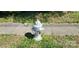A white hydrant surrounded by green grass at 224 Charlotte St, York, SC 29745