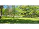 Large grassy yard area surrounded by trees at 224 Charlotte St, York, SC 29745