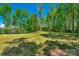 Expansive backyard, ideal for recreation, with lush greenery and shade trees at 3011 Waxhaw Crossing Dr, Waxhaw, NC 28173