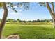 Beautiful backyard of the property with pond and golf course views at 10942 Winterbourne Ct, Charlotte, NC 28277