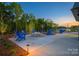 Community fire pit area featuring Adirondack chairs and landscaping at 1107 Meander Ln, Waxhaw, NC 28173