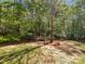 Backyard features a single tree that is mulch-ringed, a border of woods, and new grass growth at 1107 Stonehenge Ln, Charlotte, NC 28216