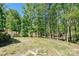 View of the backyard, featuring lush greenery and tree coverage at 16518 Here At Last Ln, Charlotte, NC 28278